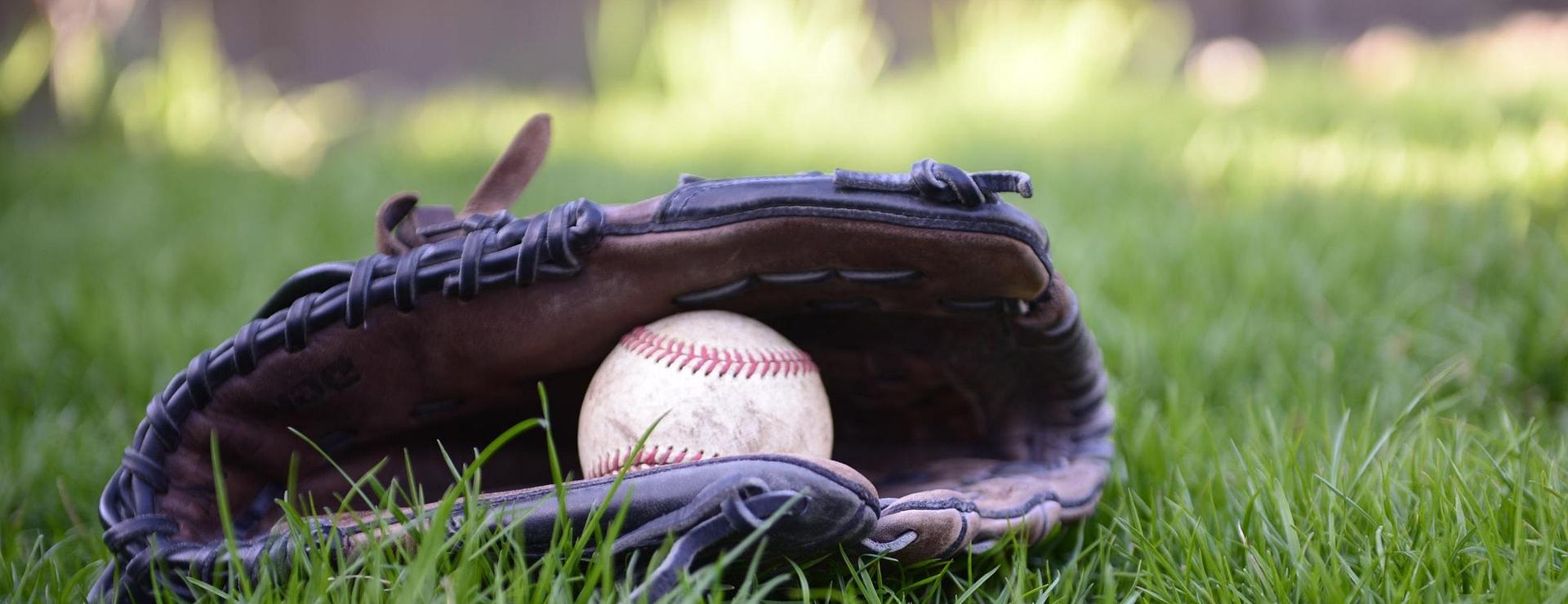 Baseball Equipment Sports Store -Baseball Equipment Sports Store baseball 4182179 1920